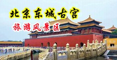操她穴12P中国北京-东城古宫旅游风景区